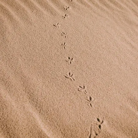 アパート Baltica グダニスク