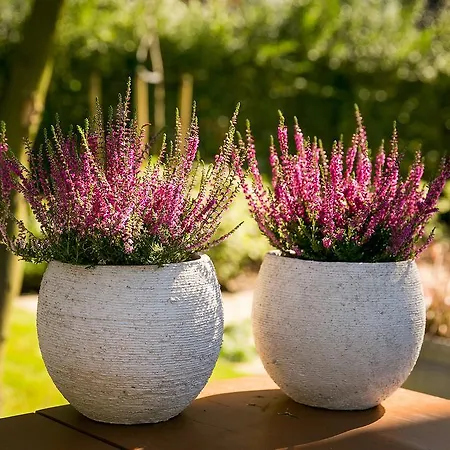 アパート Baltica *