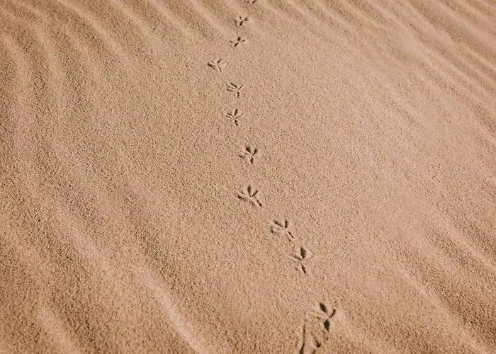 Apartment Baltica Danzig